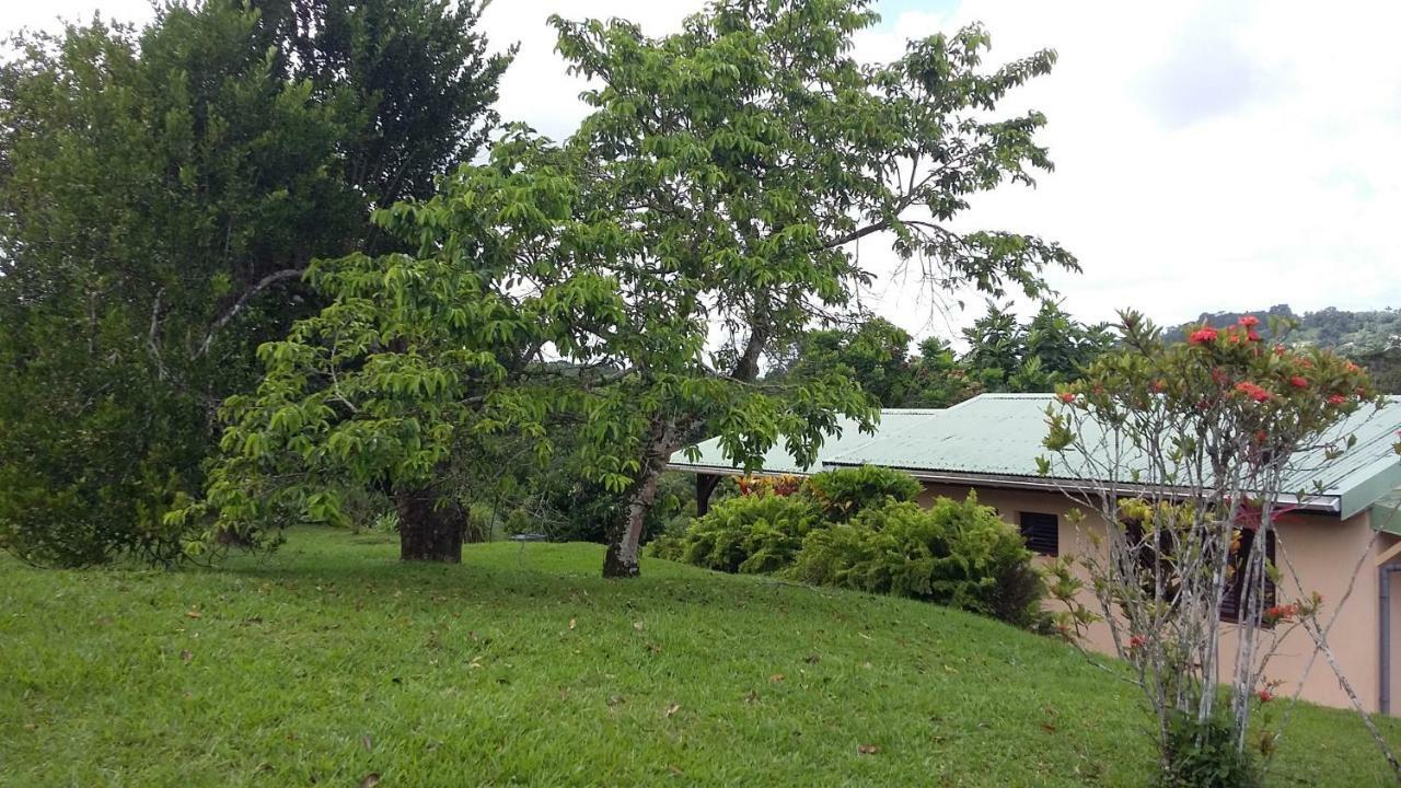 Villa Vivi Gros-Morne Exterior foto